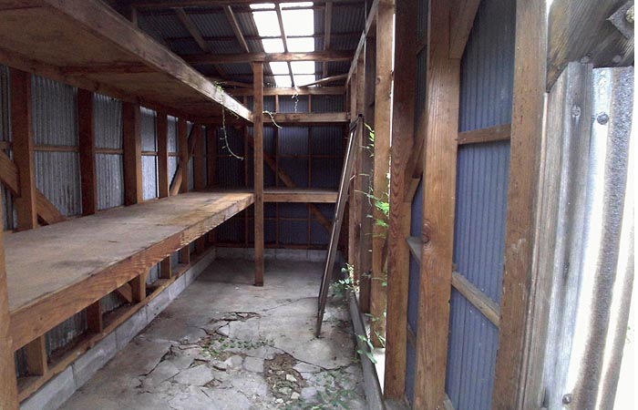 ���C�O�ʐ^3/3